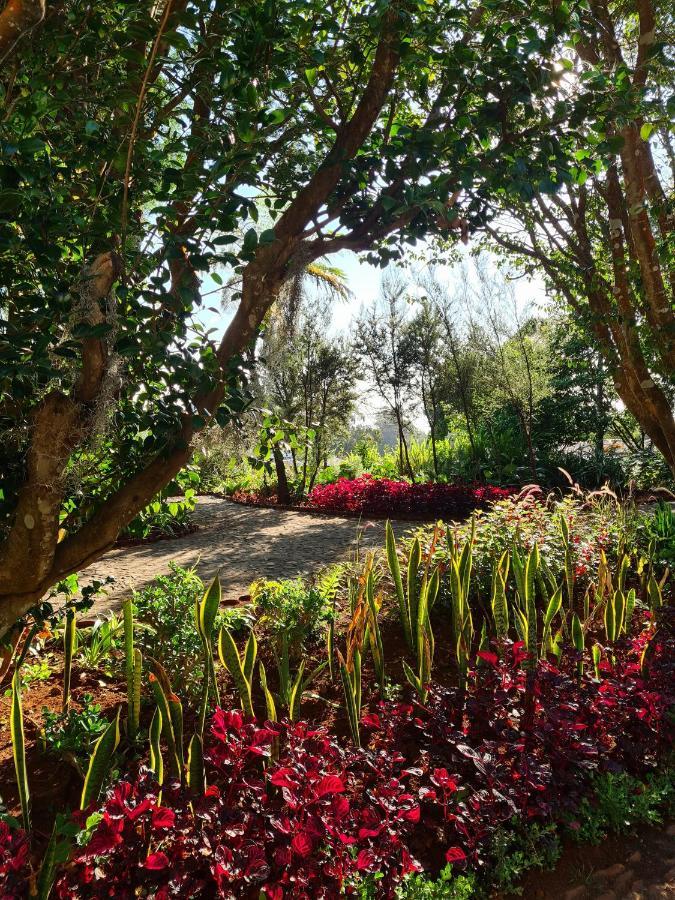 Quinta Da Moscadinha Villa Camacha  Eksteriør billede